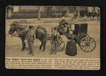 Photograph: M. Lavinia Warren and the Magris outside of a tour carriage with Major James Doyle