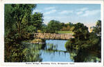 Beardsley Park: The Rustic Bridge