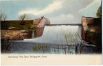 Beardsley Park: The Dam