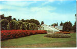 Beardsley Park: The Greenhouse