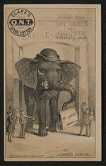 Trade card: Set of nine trade cards featuring Jumbo the Elephant (card 3)
