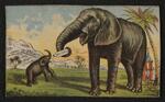Trade card: Set of four trade cards featuring Jumbo the elephant