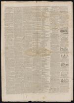 Newspaper: Norwich Weekly, single page advertisement for American Museum