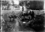 067 Bert Holmes horse, dog, and brook