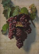 Still Life with Bunch of Grapes