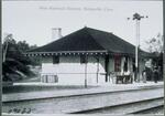 New Railroad Station, Terryville
