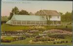 Greenhouses, Connecticut Agricultural College
