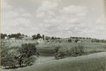 Poultry Hill, From Horsebarn Hill, Connecticut Agricultural College