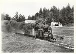 Roaring Camp and Big Trees Railroad steam locomotive 3