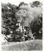 Roaring Camp and Big Trees Railroad Heisler steam locomotive 1