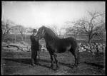 Albemanlle, man and horse near stone wall