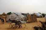 View of the outskirts of Gereida IDP camp, South Darfur, Sudan