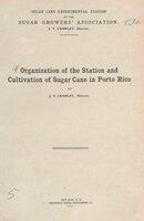 Organization of the station and cultivation of sugar cane in Porto Rico 