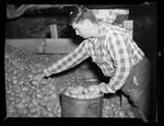 4-H, Bill and Potatoes in Storage