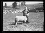 4-H, Sheep and Cattle Show