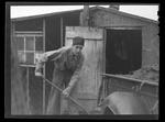 Cleaning chicken house, Milford Labor Camp 