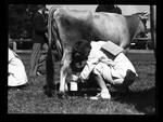 Little Eastern States milking contest