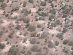 Aerial view of Marial Bai, Sudan