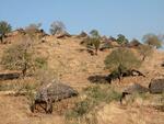 View of a hillside village in the Nuba Mountains, Sudan.