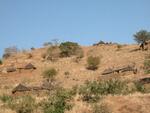 Hillside in the Nuba Mountains