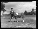 4-H, George Simpson and Calf