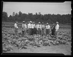 Alton M. Porter and Institutional farmers at the Lee Farm, Coventry, Connecticut