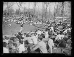 Spectators at a Baseball Game 