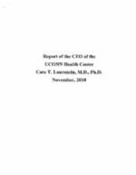 2010-11-08 CEO Report
