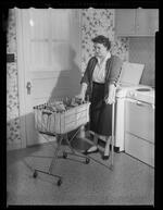 Handicapped Homemaker Project Mrs Hamel