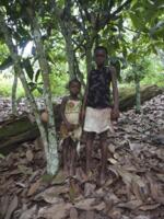 Young Girls at Cocoa Farm