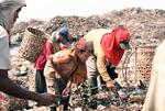 Young Boy Works Alongside Adults Scavenging In The Dump