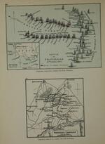 Battle of Trafalgar and Waterloo Campaign, Plates 84 and 85