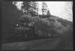 Buffalo Creek and Gauley Railroad steam locomotive 13