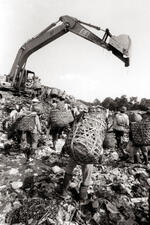 Claw Raised Above Scavengers At The Bekasi Dump