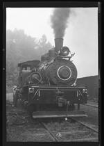 Brimstone Railroad steam locomotive 35