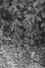 Boy Holding A Machete on Cocoa Farm