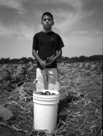 Young Migrant Laborer Stands In Front Of Harvested Onions