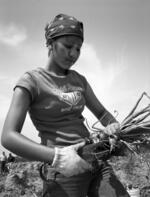 Thirteen year old American migrant worker cuts onions instead of going to school