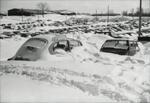Cars covered in snow after Blizzard of 1978