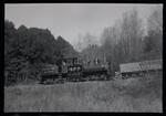 Roaring Camp and Big Trees Railroad steam locomotive 1