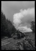 Rayonier Lumber Company steam locomotive 111