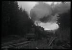 Rayonier Lumber Company steam locomotive 111