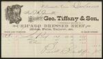Bills and receipts, George Tiffany & Son, Allen Jewett