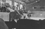 1969 Little International Livestock and Horse Show