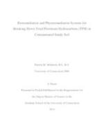 Bioremediation and Phytoremediation Systems for Breaking Down Total Petroleum Hydrocarbons (TPH) in Contaminated Sandy Soil