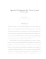 Speedup Techniques for Deep Neural Networks
