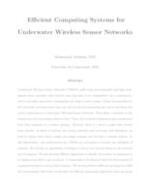 Efficient Computing Systems for Underwater Wireless Sensor Networks  -- embargoed -- 2027-03