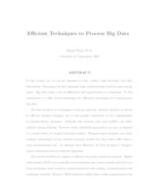 Efficient Techniques to Process Big Data  -- embargoed -- 2024-12