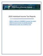 Individual income tax reports