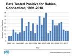 Bats tested positive for rabies, Connecticut, 1991-2018